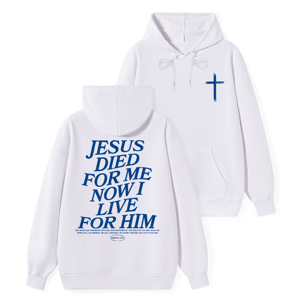 Premium Hoodie Hot 13